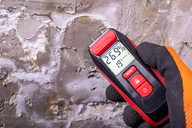Best Mold Removal Specialists  in Crosby, ND