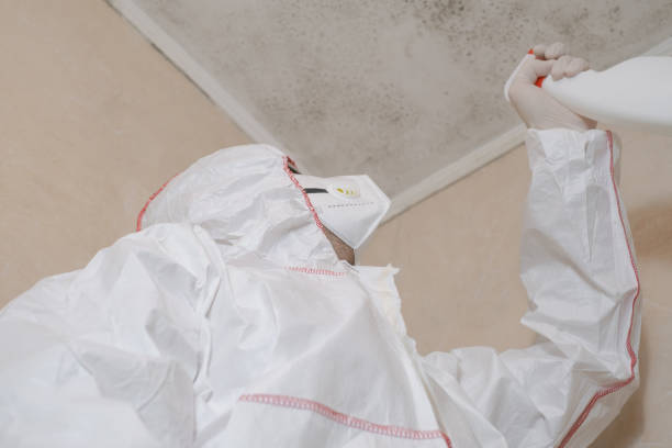 Best Attic Mold Removal  in Crosby, ND