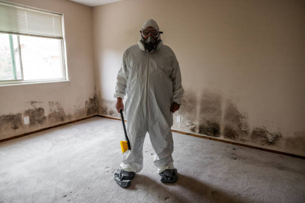 Best Fast Mold Removal  in Crosby, ND