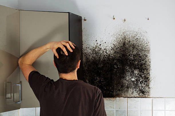 Crosby, ND Mold Removal Company