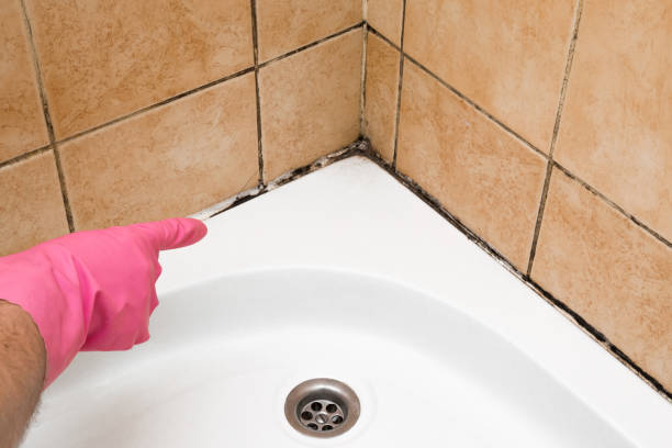 Best Mold Cleaning Services  in Crosby, ND